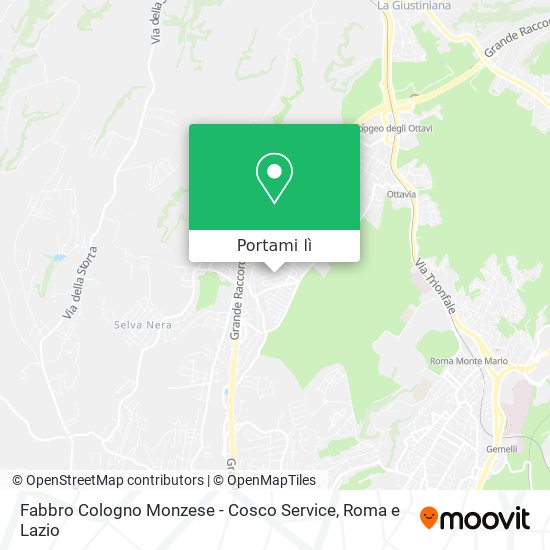 Mappa Fabbro Cologno Monzese - Cosco Service