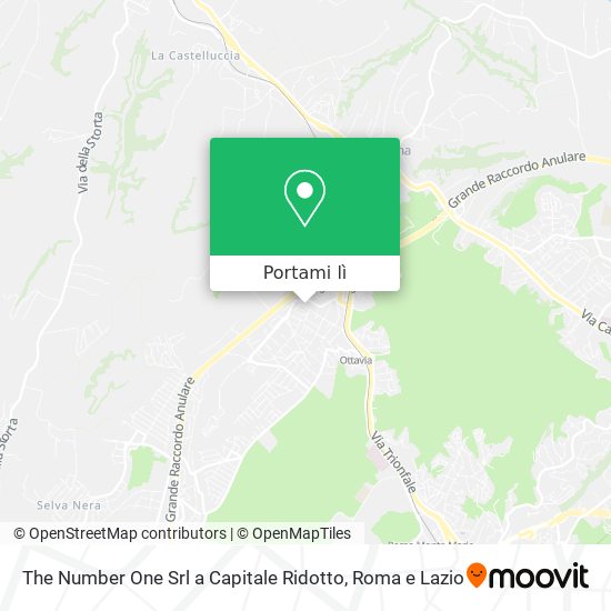 Mappa The Number One Srl a Capitale Ridotto