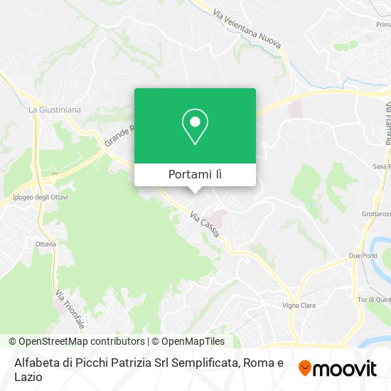 Mappa Alfabeta di Picchi Patrizia Srl Semplificata