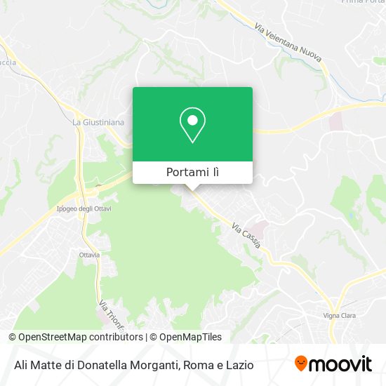 Mappa Ali Matte di Donatella Morganti