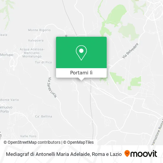 Mappa Mediagraf di Antonelli Maria Adelaide
