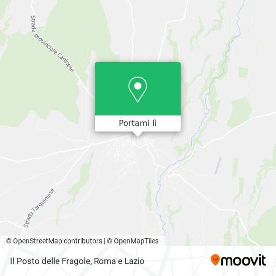 Mappa Il Posto delle Fragole