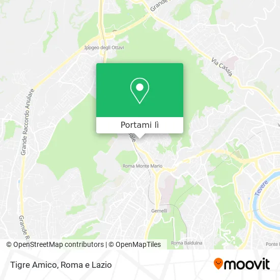 Mappa Tigre Amico