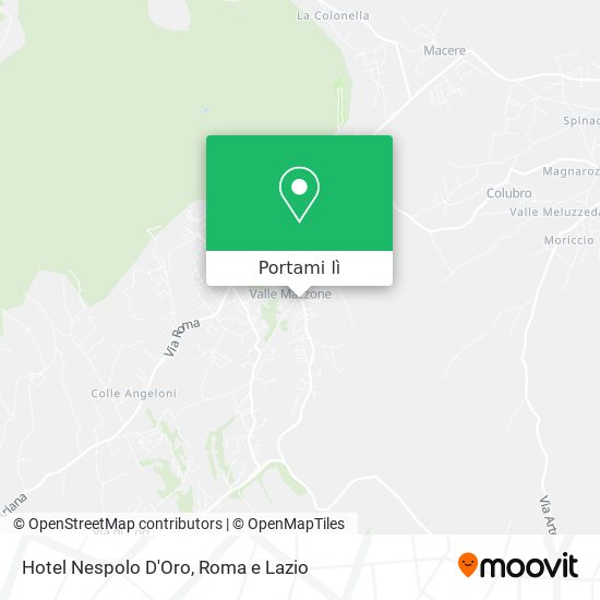 Mappa Hotel Nespolo D'Oro
