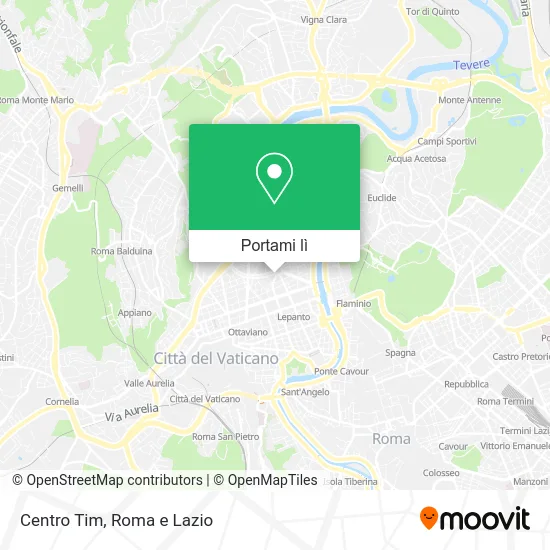 Mappa Centro Tim