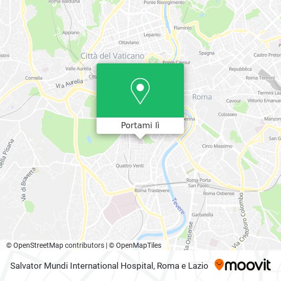 Mappa Salvator Mundi International Hospital