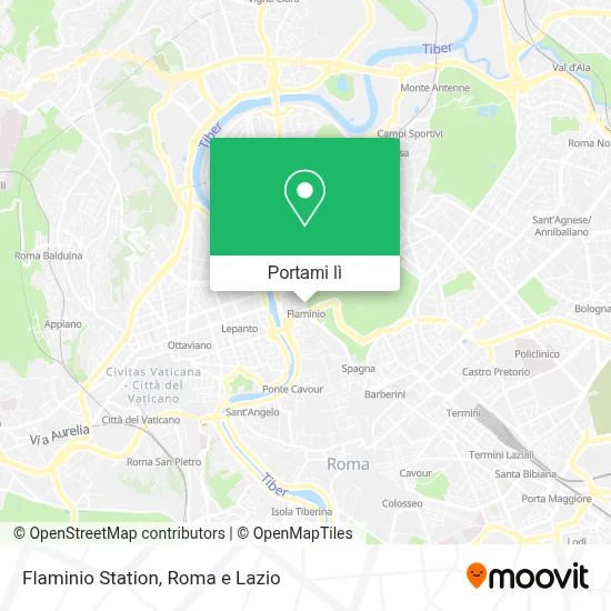 Mappa Flaminio Station