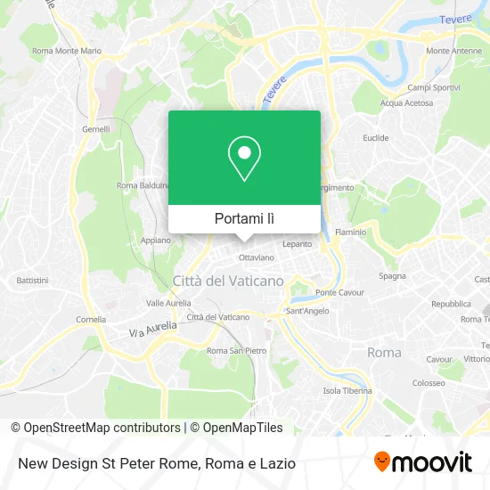 Mappa New Design St Peter Rome