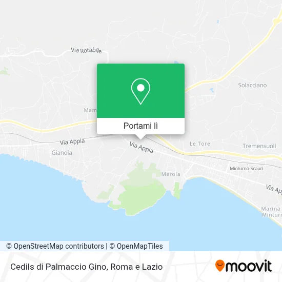 Mappa Cedils di Palmaccio Gino