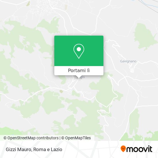 Mappa Gizzi Mauro