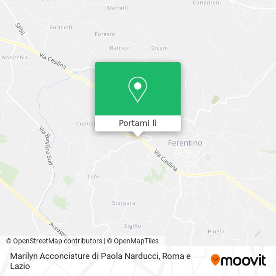Mappa Marilyn Acconciature di Paola Narducci