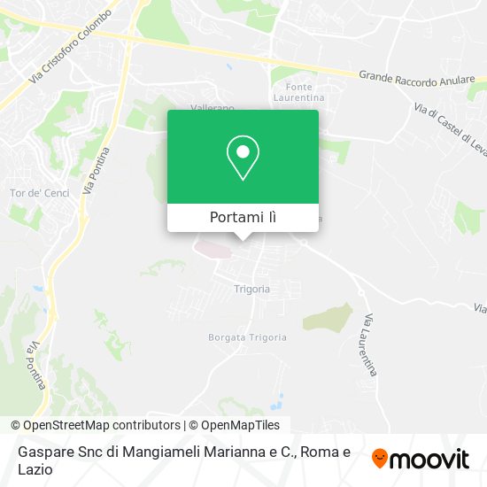 Mappa Gaspare Snc di Mangiameli Marianna e C.