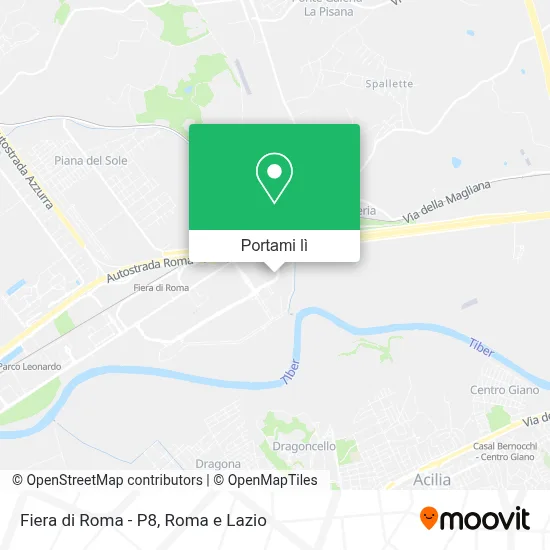 Mappa Fiera di Roma - P8
