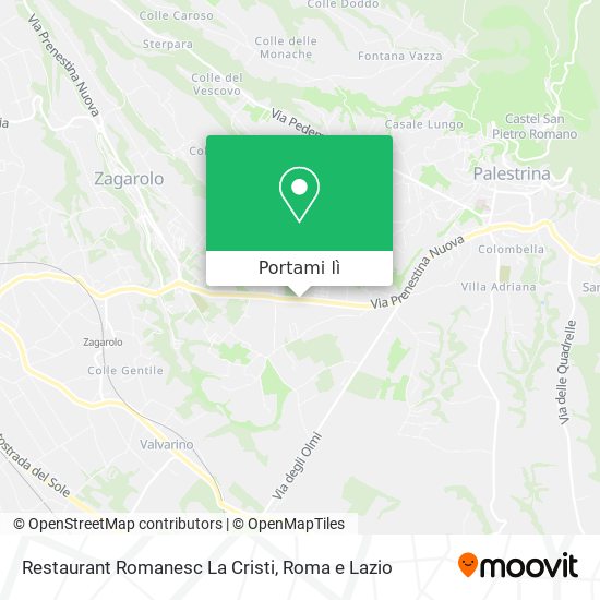 Mappa Restaurant Romanesc La Cristi