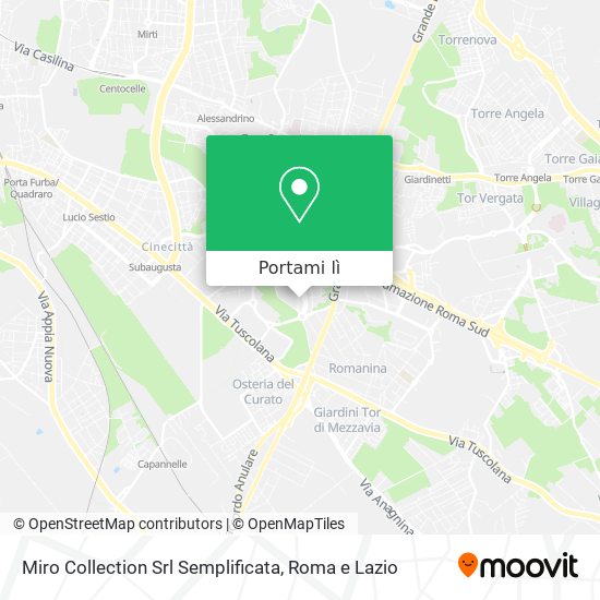 Mappa Miro Collection Srl Semplificata