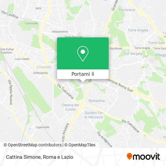 Mappa Cattina Simone