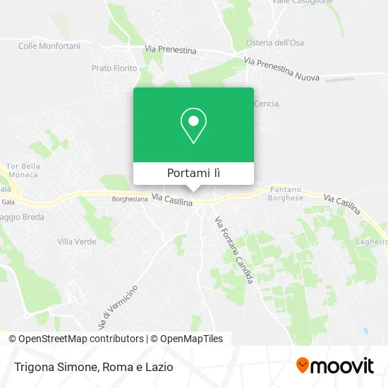 Mappa Trigona Simone