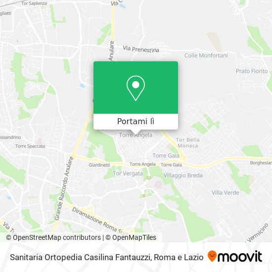 Mappa Sanitaria Ortopedia Casilina Fantauzzi