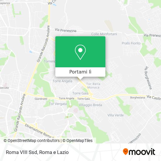 Mappa Roma VIII Ssd