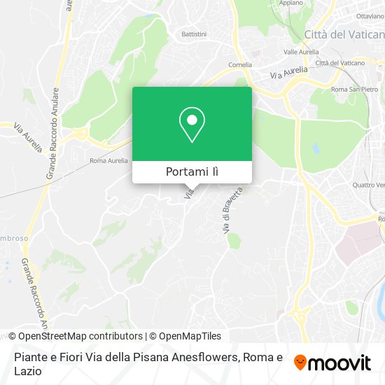 Mappa Piante e Fiori Via della Pisana Anesflowers
