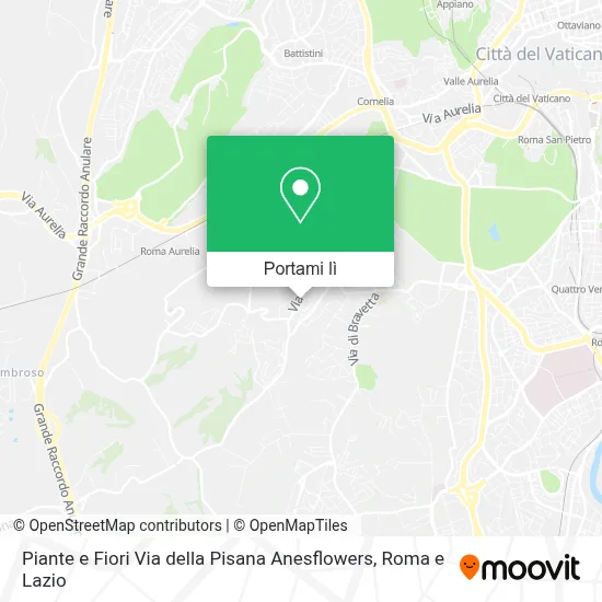 Mappa Piante e Fiori Via della Pisana Anesflowers