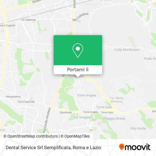 Mappa Dental Service Srl Semplificata