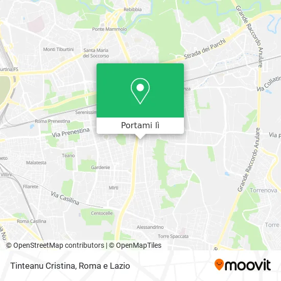 Mappa Tinteanu Cristina