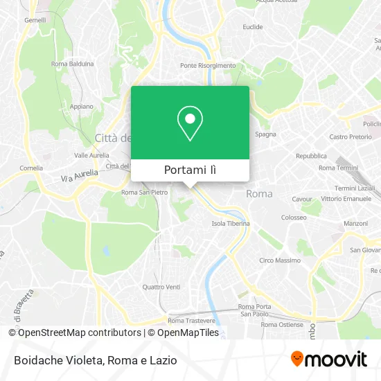 Mappa Boidache Violeta