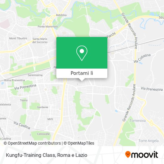 Mappa Kungfu-Training Class