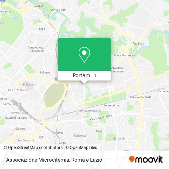 Mappa Associazione Microcitemia