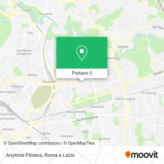 Mappa Anytime Fitness