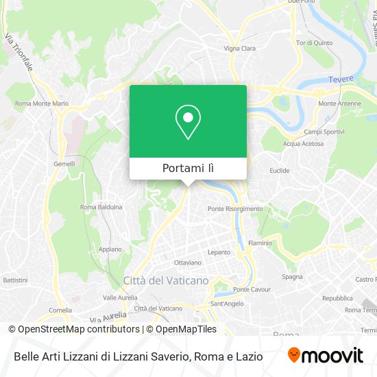 Mappa Belle Arti Lizzani di Lizzani Saverio