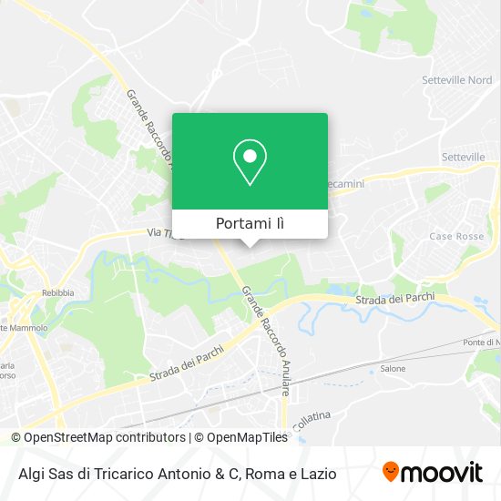Mappa Algi Sas di Tricarico Antonio & C
