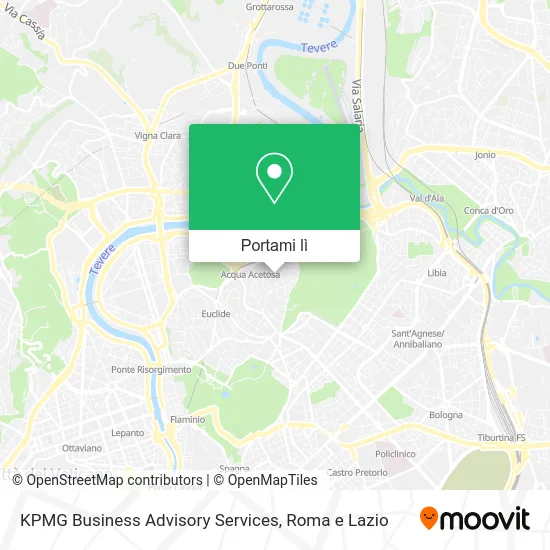 Mappa KPMG Business Advisory Services