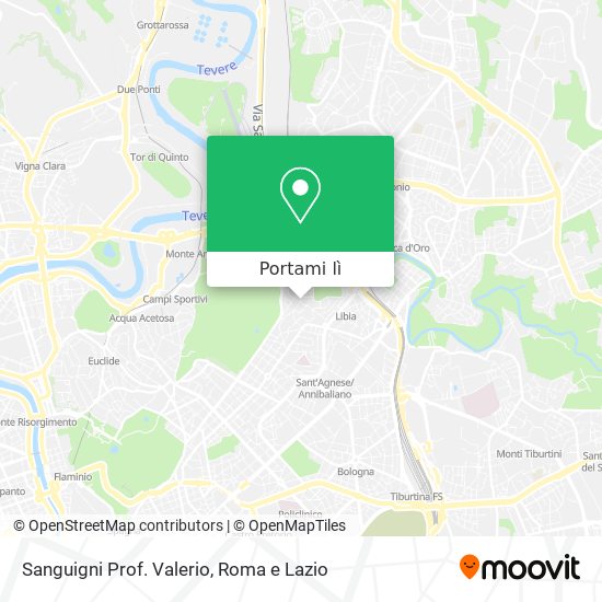 Mappa Sanguigni Prof. Valerio