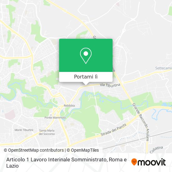 Mappa Articolo 1 Lavoro Interinale Somministrato
