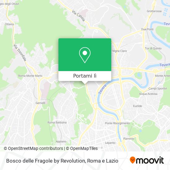 Mappa Bosco delle Fragole by Revolution