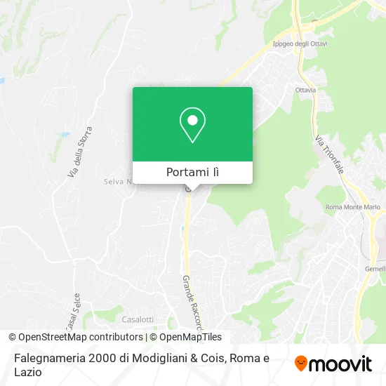 Mappa Falegnameria 2000 di Modigliani & Cois