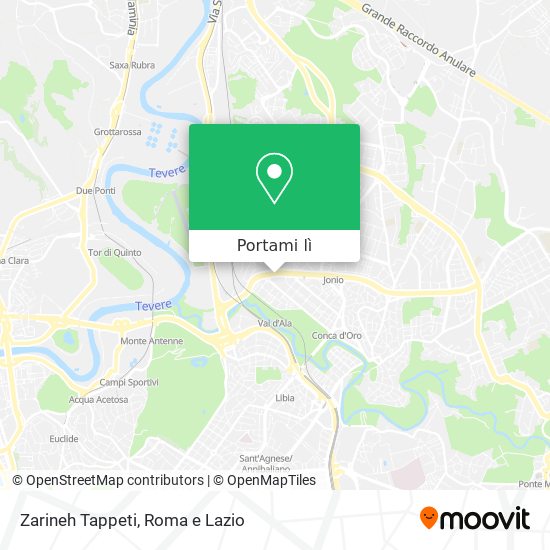 Mappa Zarineh Tappeti