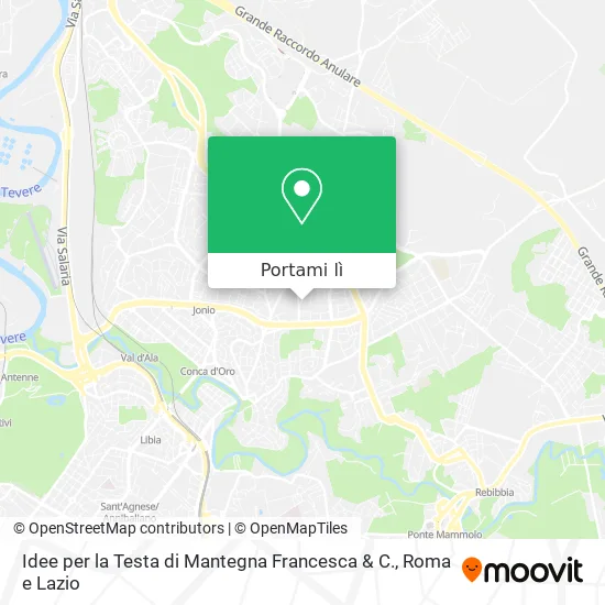 Mappa Idee per la Testa di Mantegna Francesca & C.