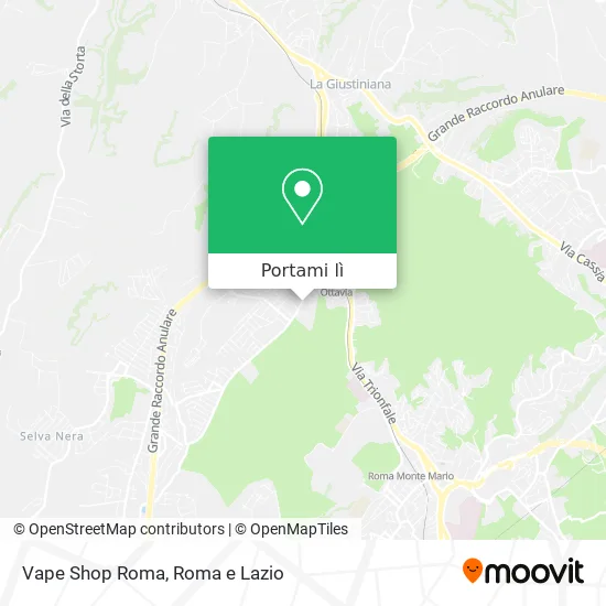 Mappa Vape Shop Roma