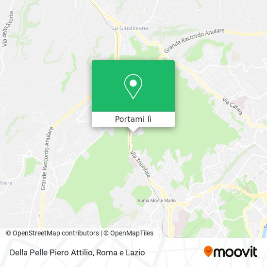 Mappa Della Pelle Piero Attilio