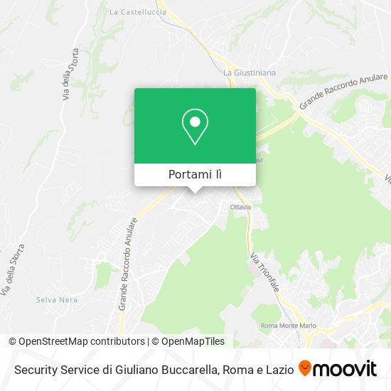 Mappa Security Service di Giuliano Buccarella