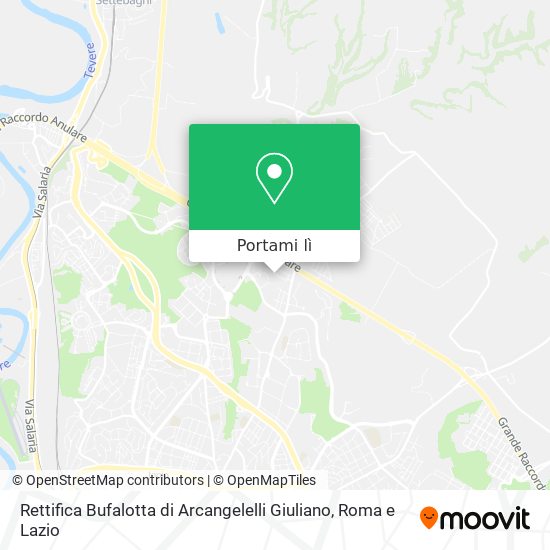 Mappa Rettifica Bufalotta di Arcangelelli Giuliano