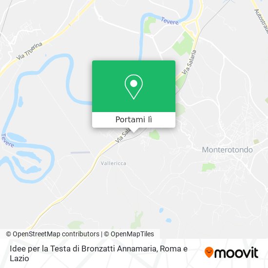 Mappa Idee per la Testa di Bronzatti Annamaria