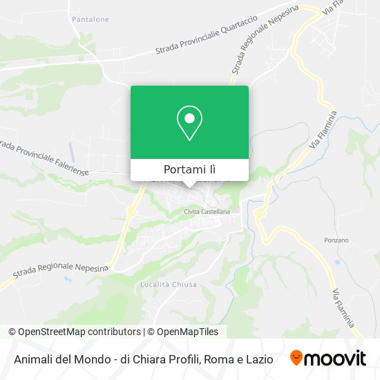 Mappa Animali del Mondo - di Chiara Profili