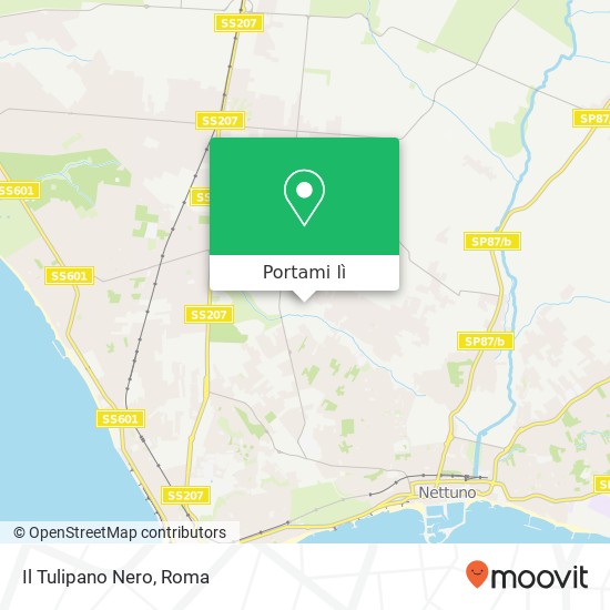 Mappa Il Tulipano Nero