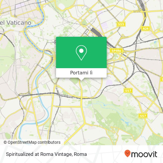 Mappa Spiritualized at Roma Vintage