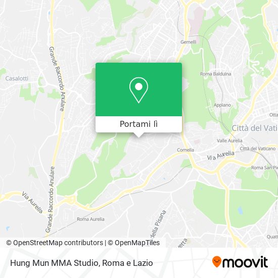 Mappa Hung Mun MMA Studio