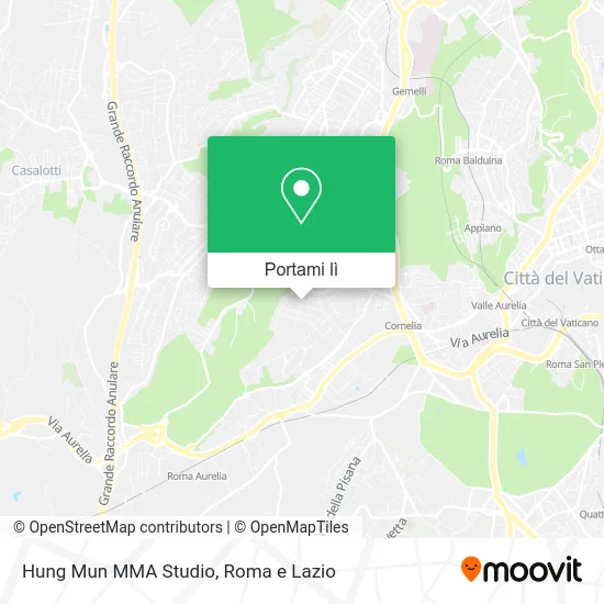 Mappa Hung Mun MMA Studio